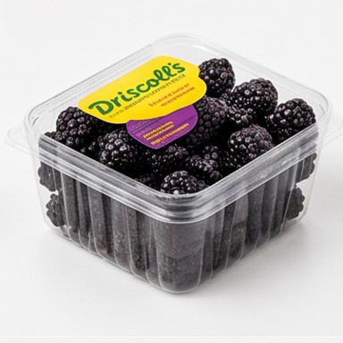 Driscoll's Blackberries