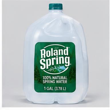 Poland Spring Water Gallon